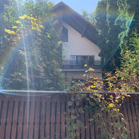 Timi Residence Braşov Buitenkant foto