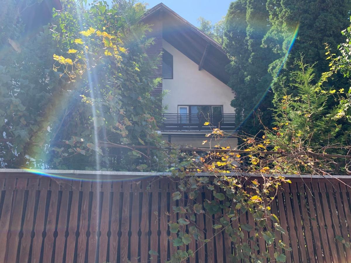 Timi Residence Braşov Buitenkant foto