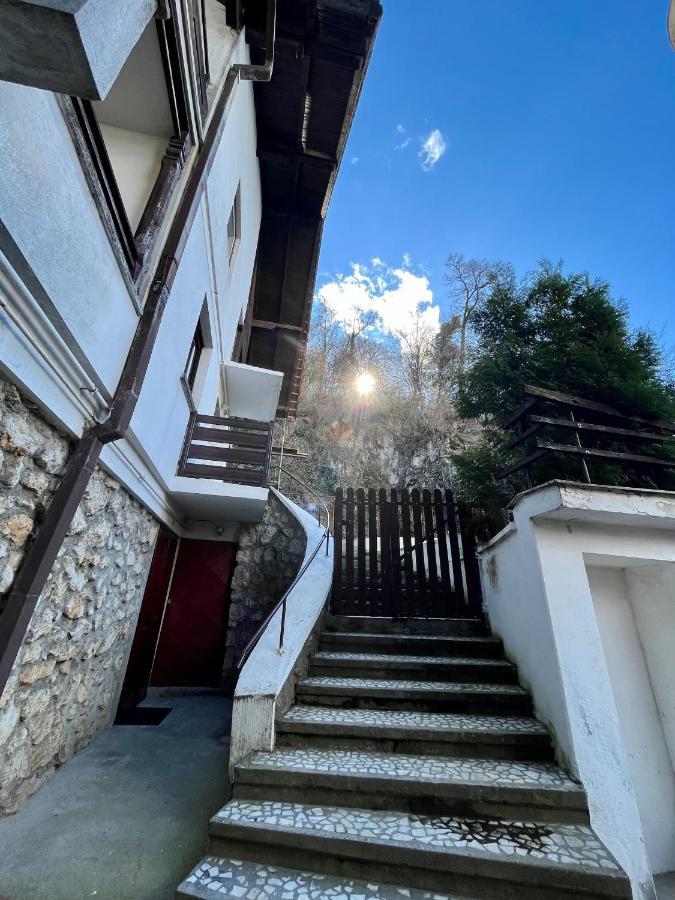 Timi Residence Braşov Buitenkant foto