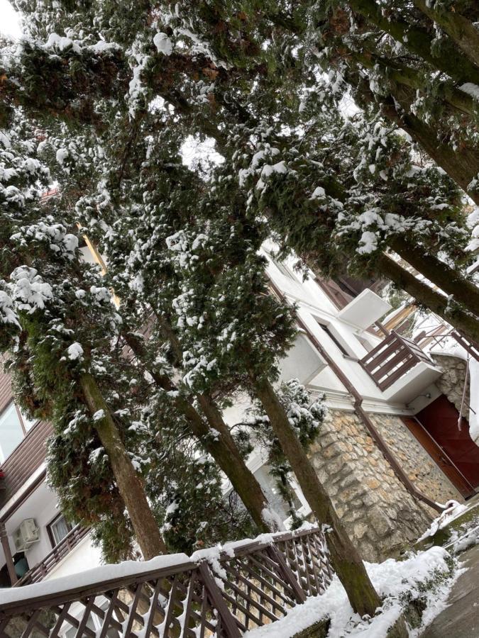 Timi Residence Braşov Buitenkant foto