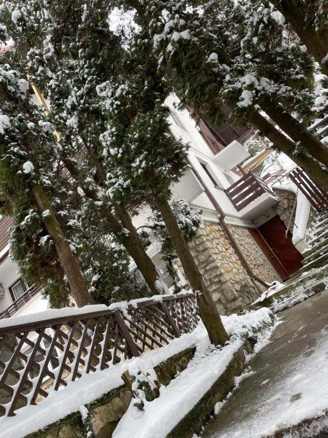 Timi Residence Braşov Buitenkant foto