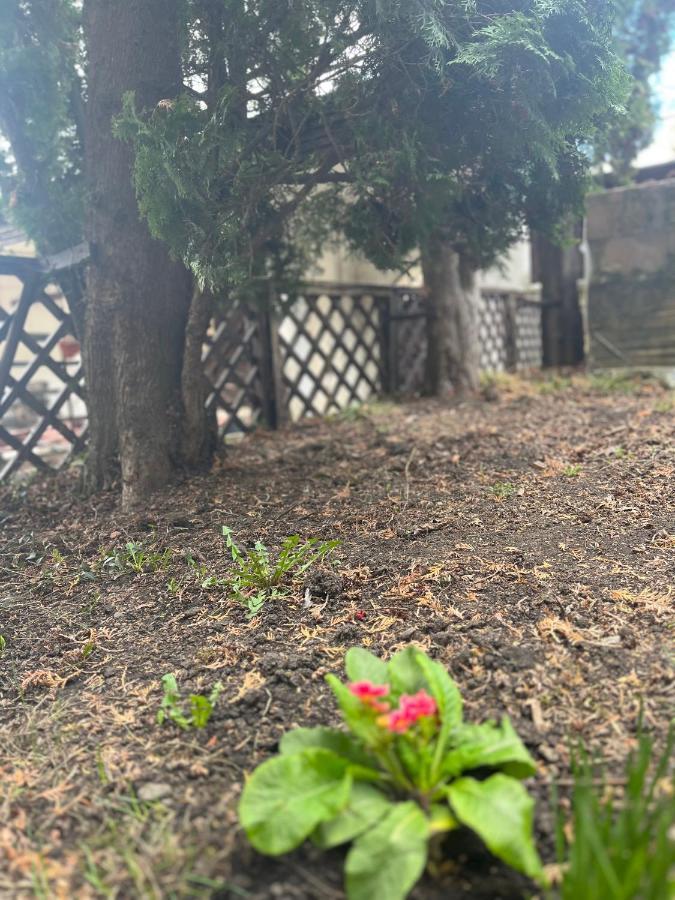 Timi Residence Braşov Buitenkant foto